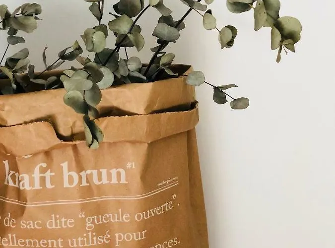 La Fourmi Hébergement de vacances Haroue